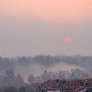 商品图营销小鸡导航
