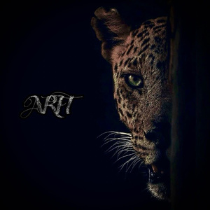 亚洲AV一级在线观看
