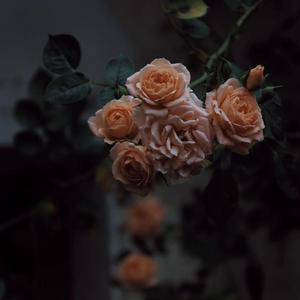 👙🈲㊙️免费网站软件
