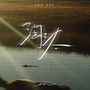 成人自拍视频免费网站
